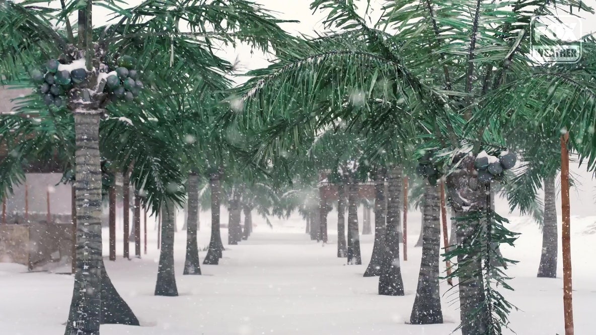 Coldest recorded temperatures in each U.S. state: how does Florida rank?